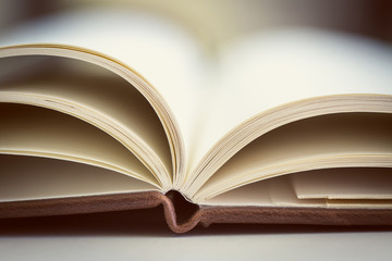 Close up on open book pages.Toned.