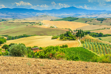 Typical Tuscany landscape,San Quirico d'Orcia,Italy,Europe
