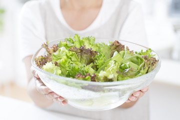 グリーンサラダ