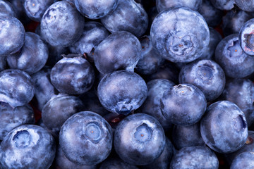 blueberries