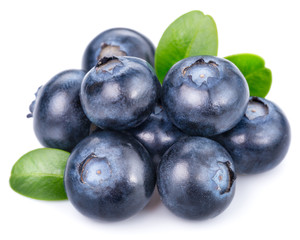 blueberries isolated