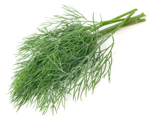 Green dill