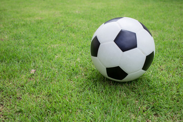 soccer ball on green grass