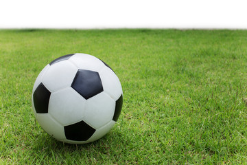 Obraz premium soccer ball on green grass