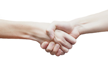 Handshake on white background.