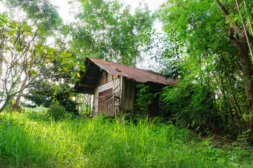abandoned house in the green garden, thailand