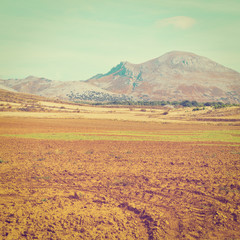 Naklejka premium Plowed Fields