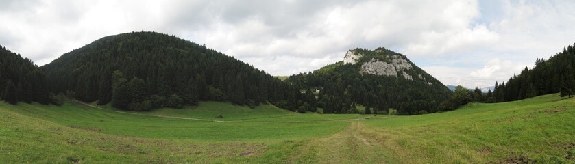 pasture near Malino Brdo in Velka Fatra mountains in Slovakia