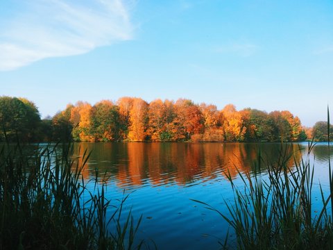 Colorul trees reflection in the lake at autumn