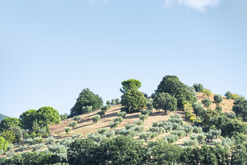 Fototapeta na wymiar Beautiful landscape Tuscany