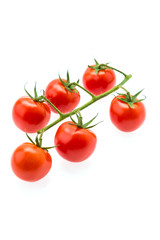 Tomato isolated on white