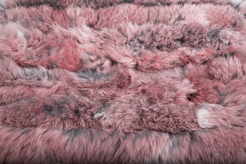 Red beautiful animal fur (background, wallpaper)