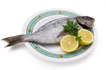Isolated fresh bream