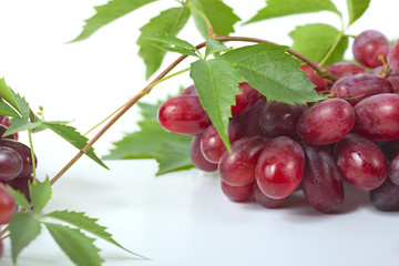 Bunch ripe, fresh red grapes with leaves.