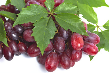 Bunch ripe, fresh red grapes with leaves.