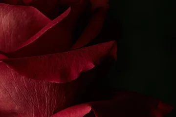 Tableaux ronds sur plexiglas Anti-reflet Roses rose rouge