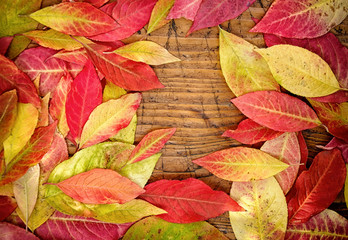 Autumn Leaves over wooden background