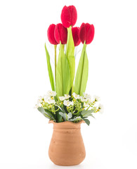 Vase flower isolated on white background