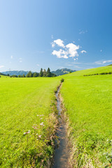 Bächlein im Oberallgäu