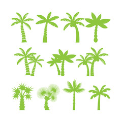 palm tree icon set,  vector eps10