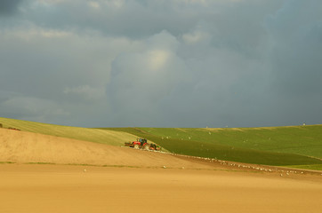 Obraz premium terre de contraste