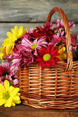 Fototapeta na wymiar Beautiful chrysanthemum in basket on wooden background