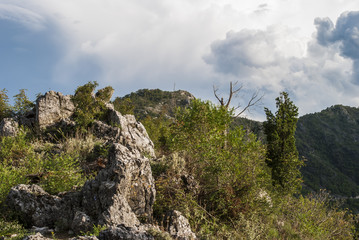 Hillside (mediterranean vegetation)