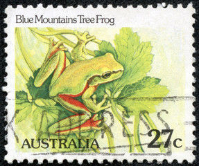 stamp from Australia illustrating Australian Reptiles
