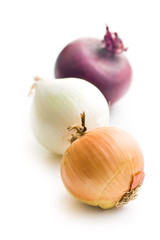 various onions