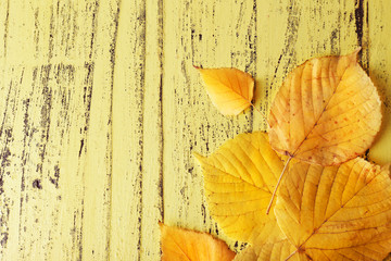 Fototapeta na wymiar Leaves on yellow wooden background