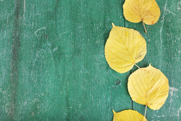 Yellow leaves on green wooden background