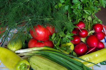 Summer Still Life. Ripe vegetables and herbs.
