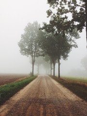 Fototapeta na wymiar Misty country road