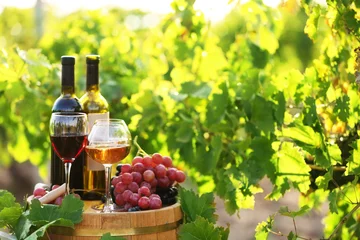 Keuken foto achterwand Tasty wine on wooden barrel on grape plantation background © Africa Studio