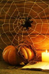 Halloween decoration with spider