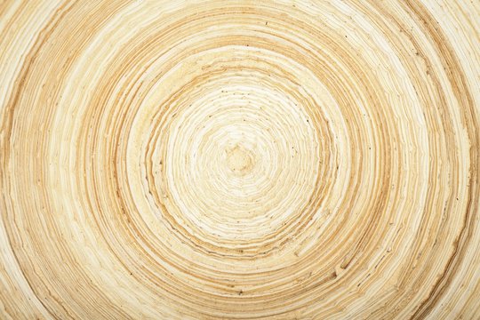 texture of modern wood circle rings