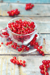red currant