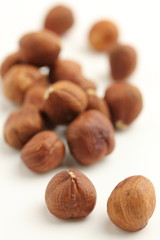 ヘーゼルナッツ