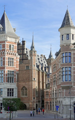 Obraz premium Gasse zum Vleeshuis Antwerpen