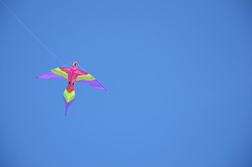 Cerf volant