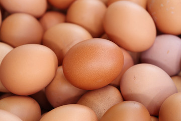 fresh eggs for sale at a market