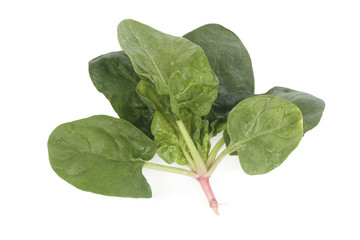 Fresh spinach leaves over white background