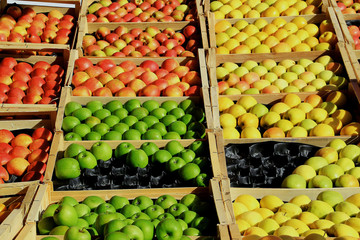 Etalage de pommes.