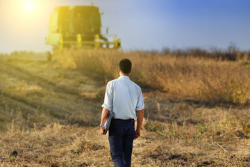 Soybean harvest