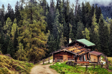 Mountain Pasture at the sea of Kings in Berchtesgaden