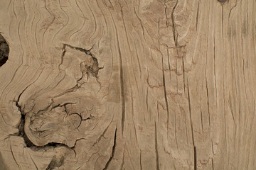 Wood background texture