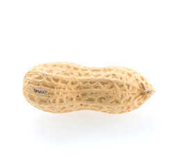 peanuts isolated on white background