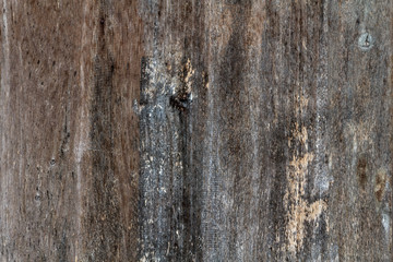 Wooden texture background