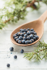 Juniper Berries