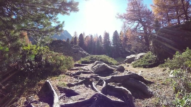 paesaggio alpino